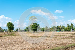 The country landscape at Don Det in 4000 islands, Champasak Province, Laos