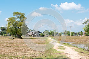 The country landscape at Don Det in 4000 islands, Champasak Province, Laos