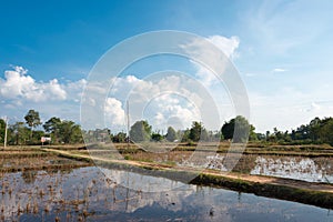 The country landscape at Don Det in 4000 islands, Champasak Province, Laos