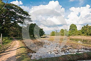 The country landscape at Don Det in 4000 islands, Champasak Province, Laos