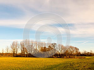 Country landscape empty open space tree line sky