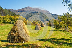 Vidiecka krajina, trávnatá lúka so senníkmi, Slovensko