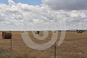 Country Landscape with a Large Hay Field and Rolled Bales