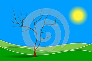 Country landscape with a lonely tree