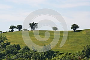 Country landscape in Marche, Italy