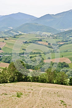 Country landscape in Marche, Italy photo