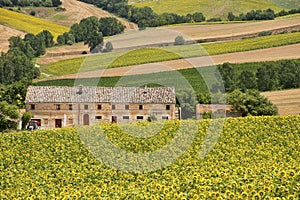 Country landscape in Marches (Italy)