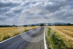 Country landscape near Ancarano Piacenza