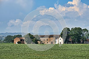Country landscape near Castell`Arquato photo