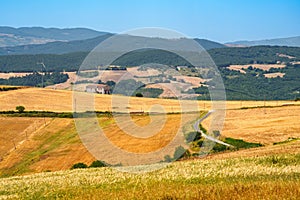 Country landscape near Forenza and Acerenza, Basilicata, Italy