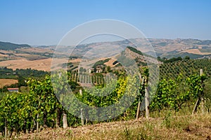 Country landscape near Gambatesa and Jelsi, Molise, Italy