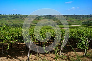 Country landscape near Lanciano, Abruzzo, Italy