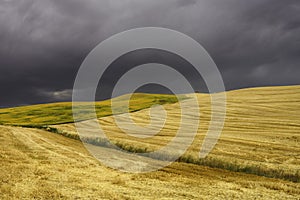 Country landscape near Matera and Gravina di Puglia