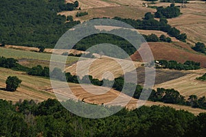 Country landscape near Motta Montecorvino, Apulia, Italy