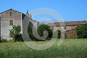 Country landscape near Orsogna and Bucchianico, Abruzzo, Italy photo