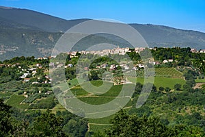 Country landscape near Orsogna and Bucchianico, Abruzzo, Italy photo