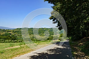 Country landscape near Orsogna and Bucchianico, Abruzzo, Italy photo