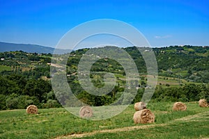 Country landscape near Orsogna and Bucchianico, Abruzzo, Italy photo