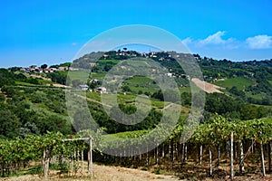 Country landscape near Orsogna and Bucchianico, Abruzzo, Italy photo