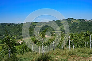 Country landscape near Orsogna and Bucchianico, Abruzzo, Italy photo