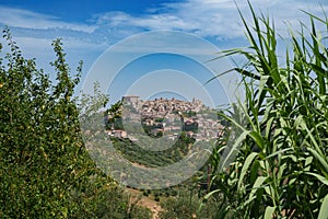 Country landscape near Orsogna and Bucchianico, Abruzzo, Italy photo