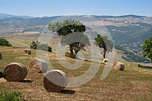 Country landscape near Potenza, Basilicata, Italy