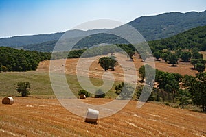 Country landscape near Potenza, Basilicata, Italy