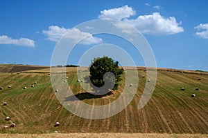 Country landscape near Tricarico and San Chirico, Basilicata, Italy