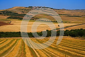 Country landscape near Troia,Apulia, Italy