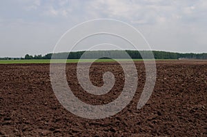 Country landscape, spring arable land