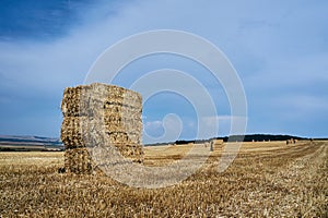 Country landscape in summer after the harves