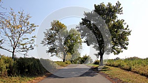 Country landscape with trees-lined local road at Mount Loretto, Staten Island, NY, USA