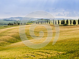 Country landscape in the Tuscan hills