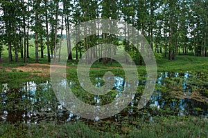 Country landscape whith reflection in the river, Bogolubovo, Rus