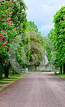 Country Lane