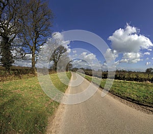 Country lane