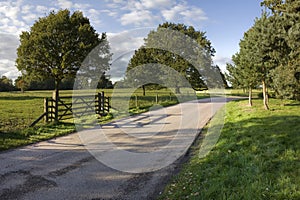 Country lane