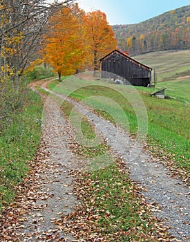 Country lane in autumn