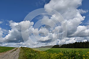 A country lane with a blue sky