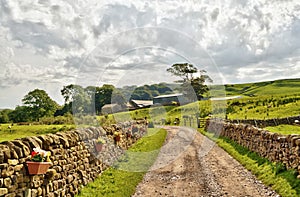 Country lane bordered by stone walls and fields.