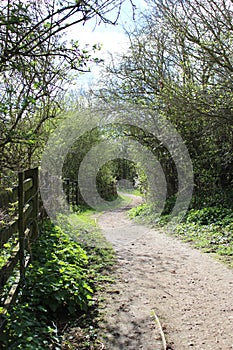 Country lane at Brandon Marsh