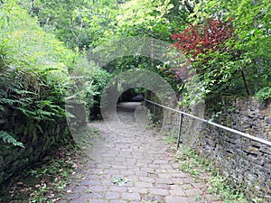 Country lane descending a steep hill