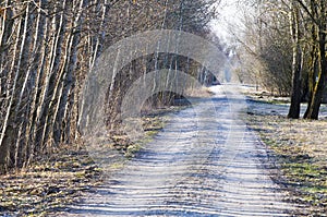 Country lane in early spring