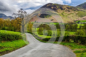 Country lane in Lake District