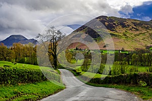 Country lane in Lake District