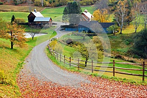 A country lane leads to a bucolic farm