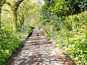 Country Lane