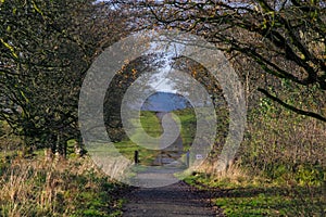 A country lane near Murdock Castle, Scotland