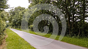 Country Lane in Spring Time