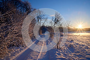 Country lane toward the sun in winter